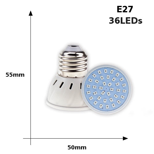 Fluorescent recessed LED E27 bulb