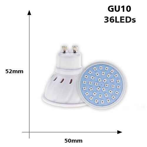 Fluorescent recessed LED G10 bulb - vue 4 sur 5