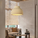 Modern pendant light with polymer shade kya