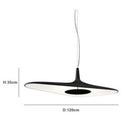 Minimalist designer pendant light with asymmetric Poe shape