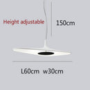 Minimalist designer pendant light with asymmetric Poe shape