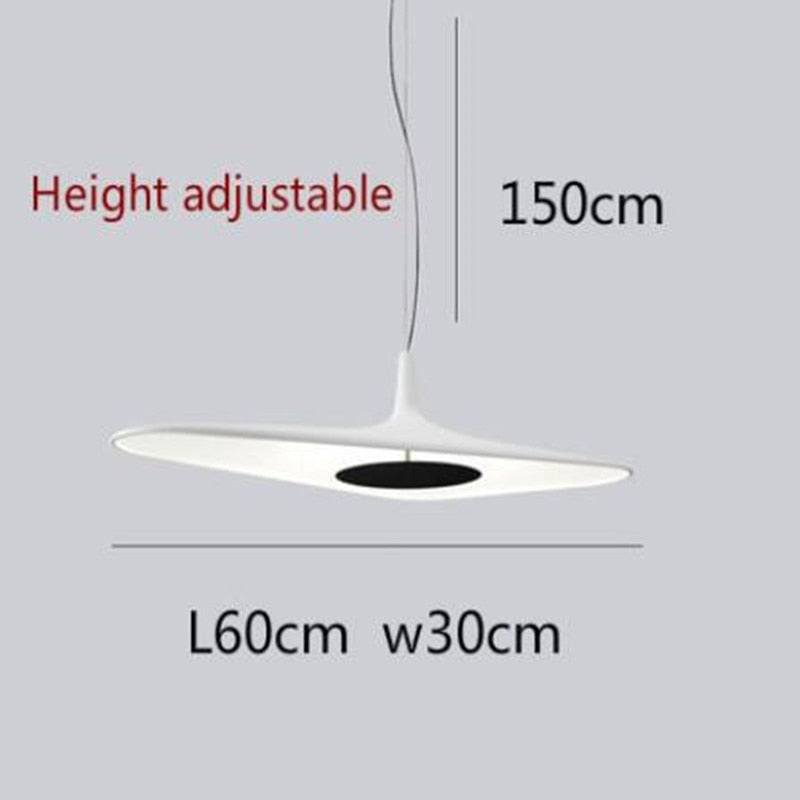 Minimalist designer pendant light with asymmetric Poe shape