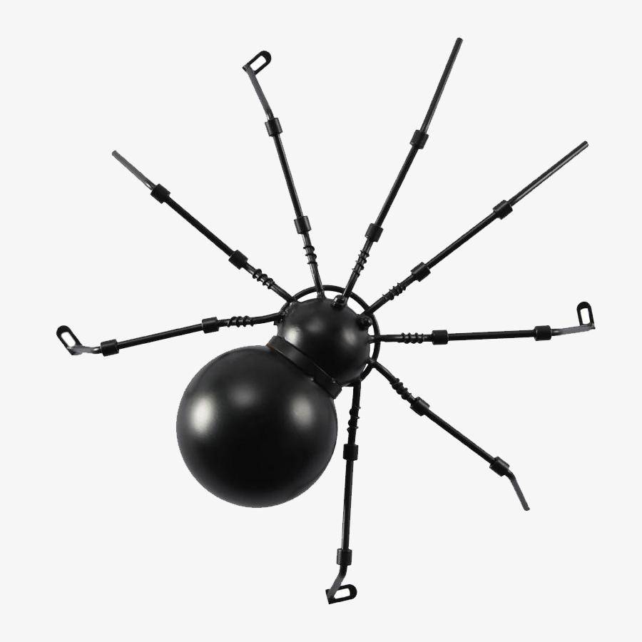 Beetle insect wall light