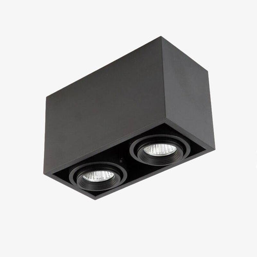 Rectangular ceiling light with adjustable LED spotlights