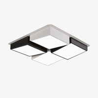 Designer LED ceiling light