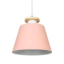 Coloured conical LED pendant light for restaurants